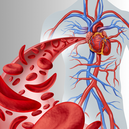 血流で変わる。今日からできる血流改善方法