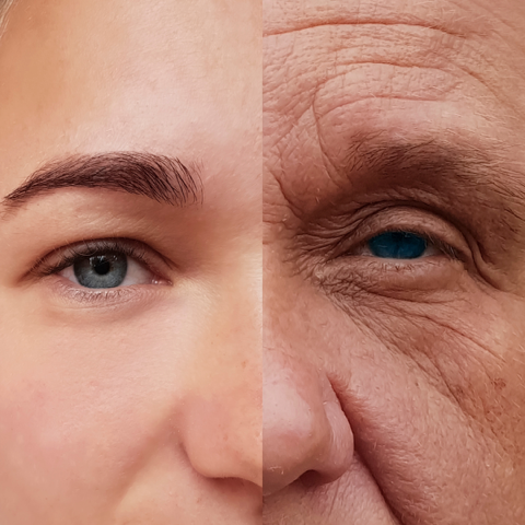 50代からのエイジングケアは“骨格”にも目を向けて