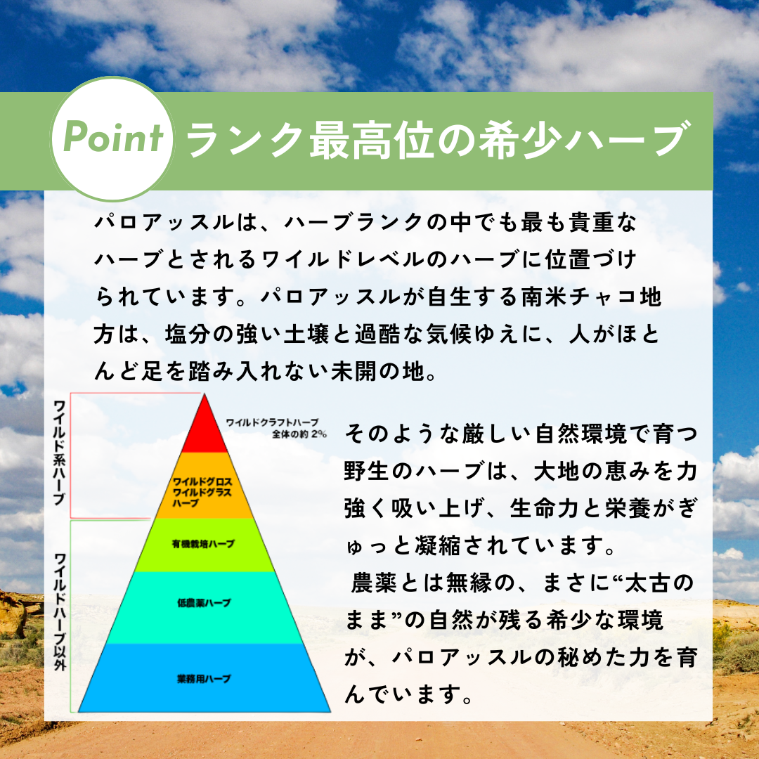 チャーガ茶  RETHÉ プレミアム