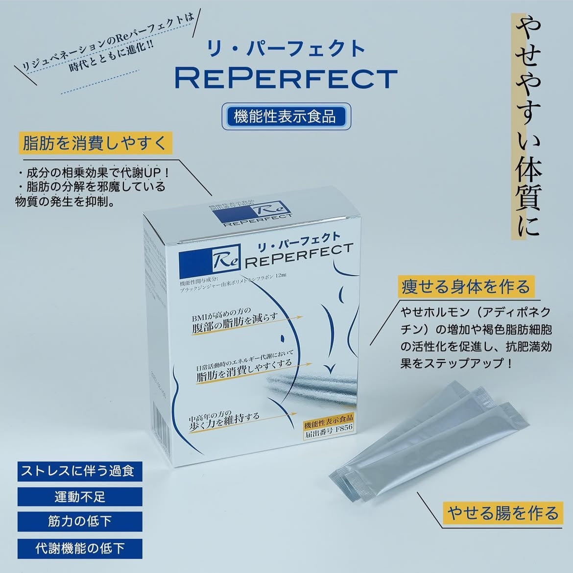 Reパーフェクト