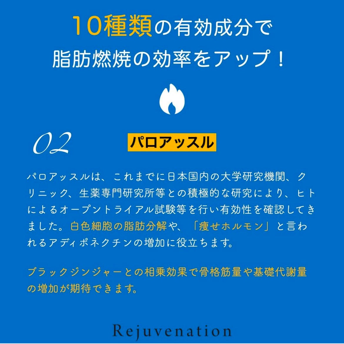 Reパーフェクト
