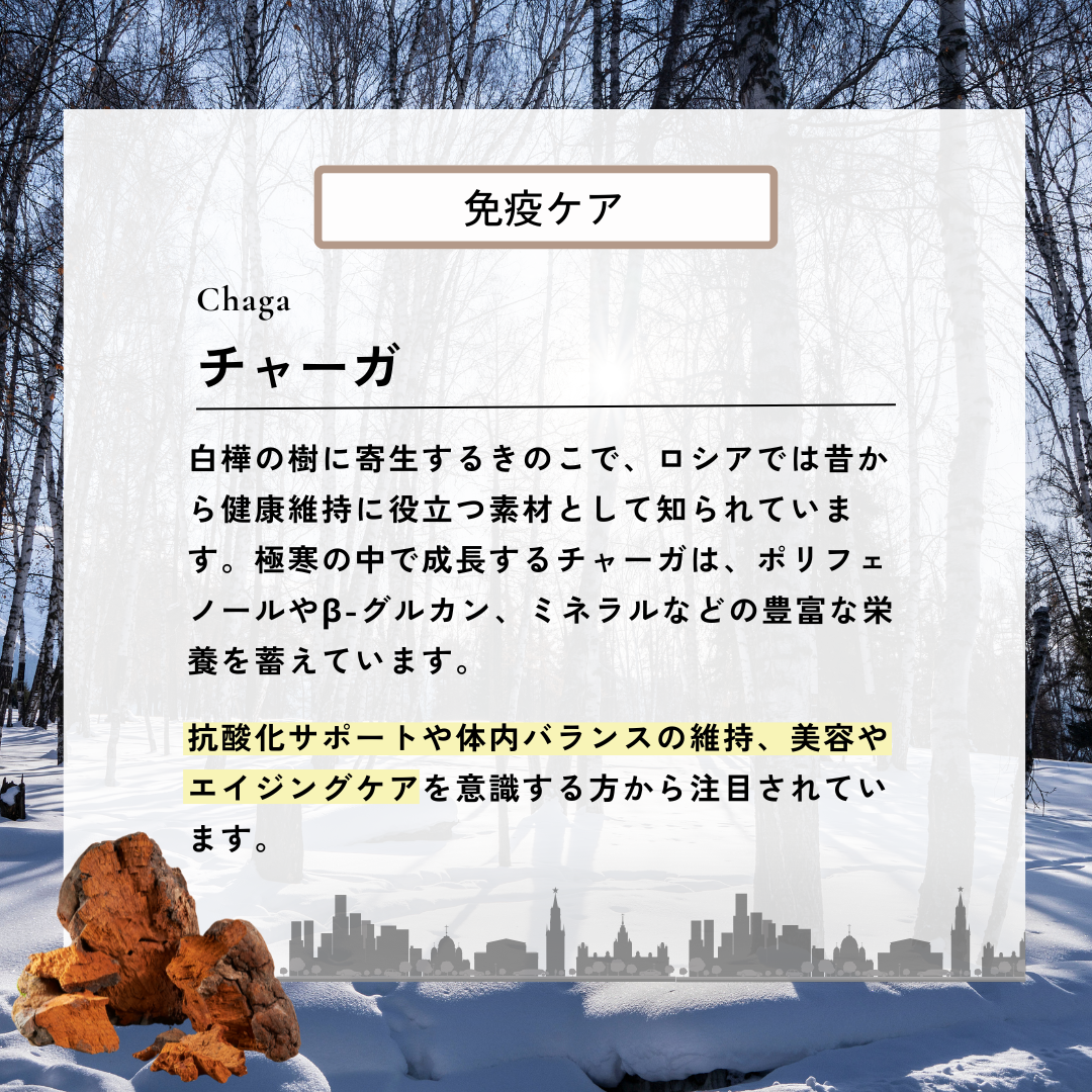 チャーガ茶  RETHÉ プレミアム